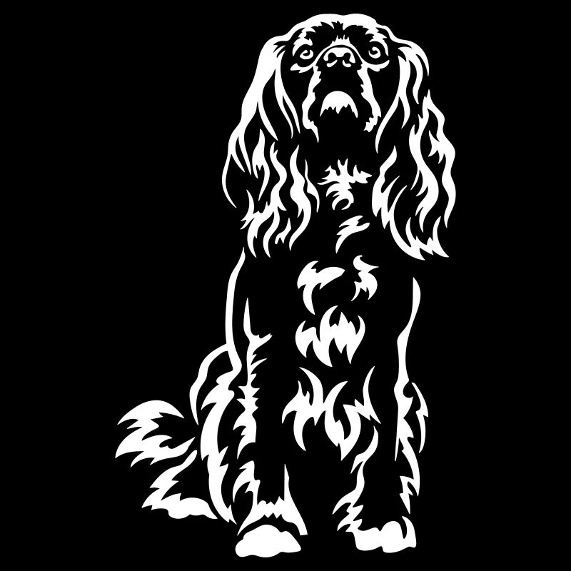 American Cocker Spaniel « Black Edition »