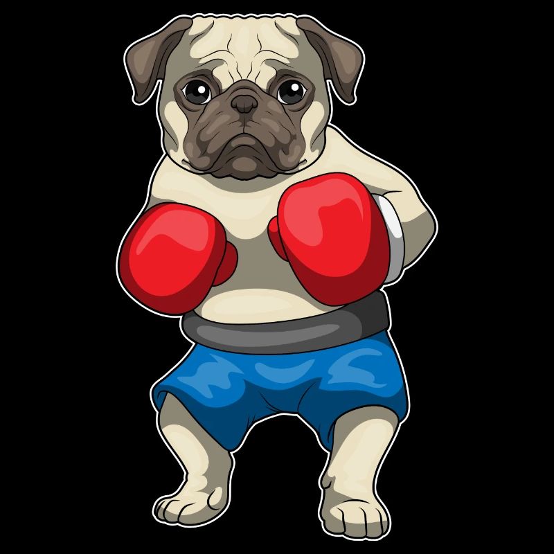 Carlin Boxer Gants de boxe Boxe