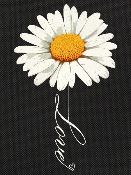 Gänseblümchenblume mit Liebe Skript