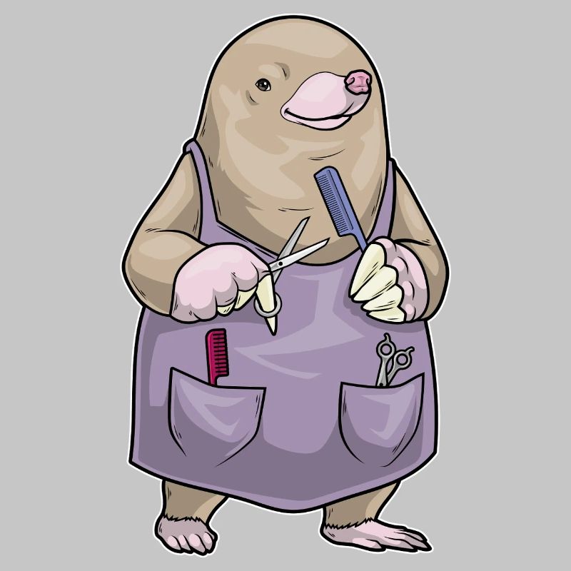 Peigne et ciseaux de coiffeur Mole