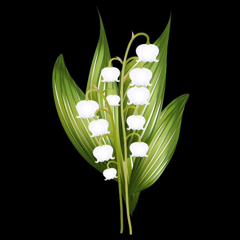delicate lily of the valley bouquet as a spring greeting