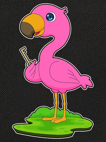 Flamingo Key
