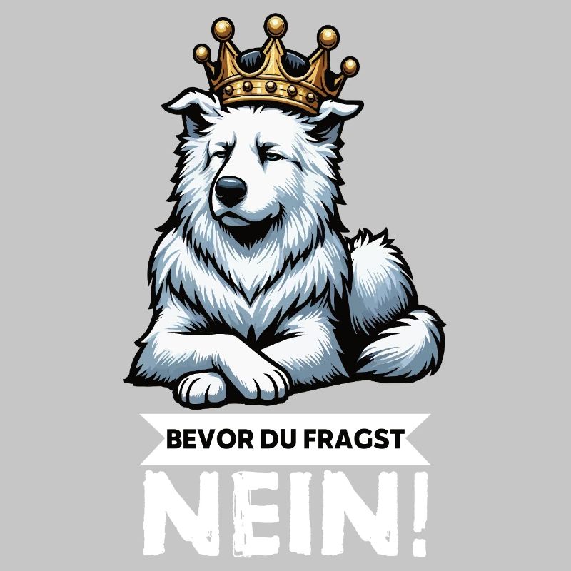 Before you ask: White Shepherd Shepherd