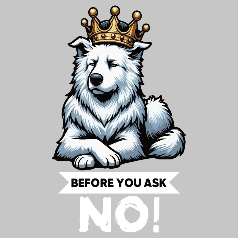 Before You Ask White Shepherd Shepherd