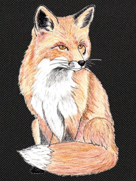 Kleiner Waldfuchs - ein sanfter Begleiter
