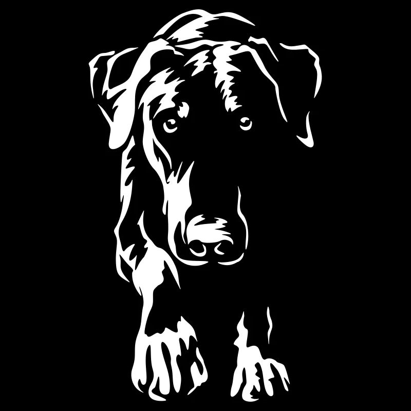 Dobermann "Black Edition"