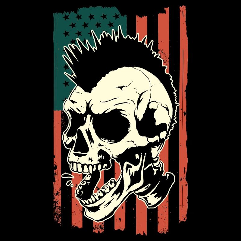 Punk skull on US flag