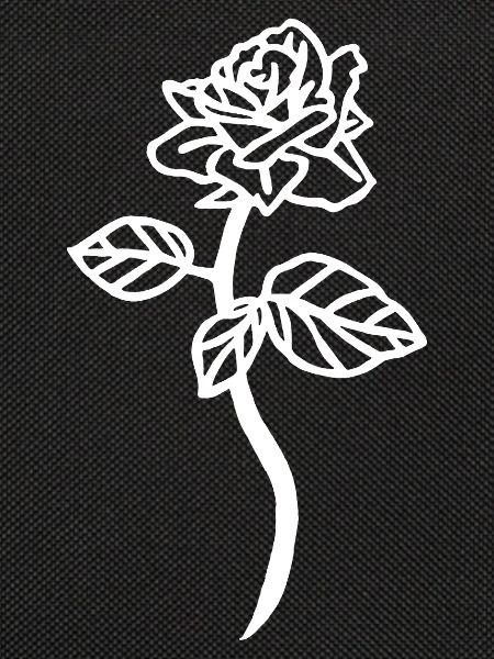The White Rose