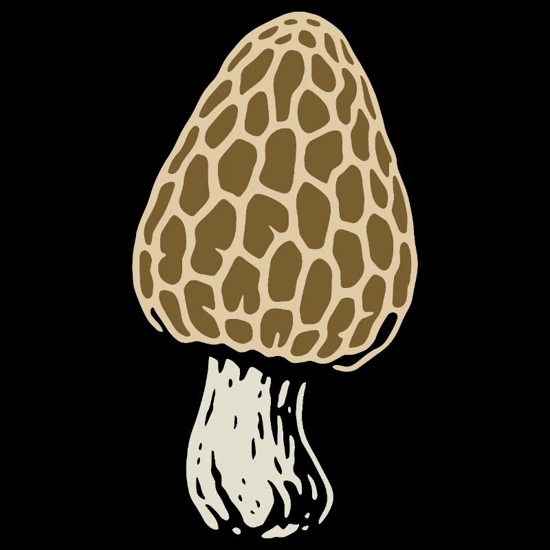 Morille - Cueilleur de champignons - Champignons - Dicton