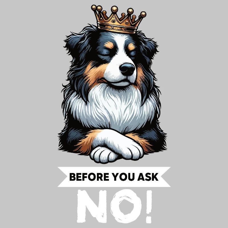 Before You Ask Australian Shepherd Aussie Aussies