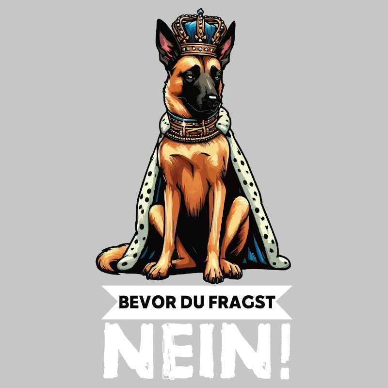 Before you ask: Malinois Belgian Shepherd