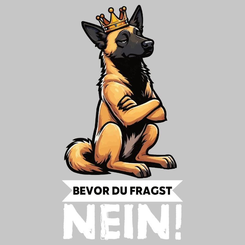 Before you ask: Malinois Belgian Shepherd