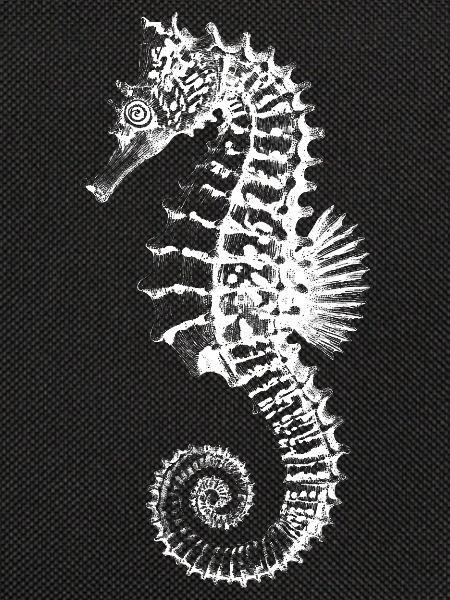Hochkontrast-Seepferdchen-Silhouette