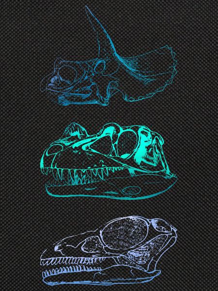 Dinosaurier-Schädel