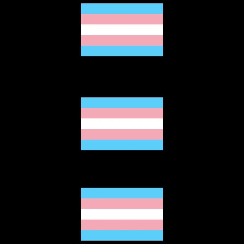 Trans Pride Flags  