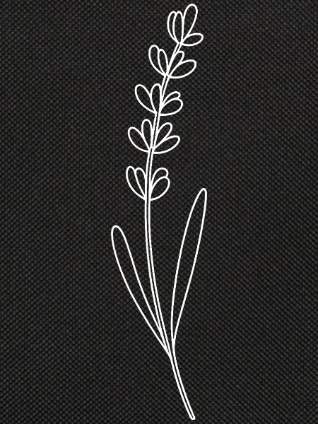 Lavender Line Drawing