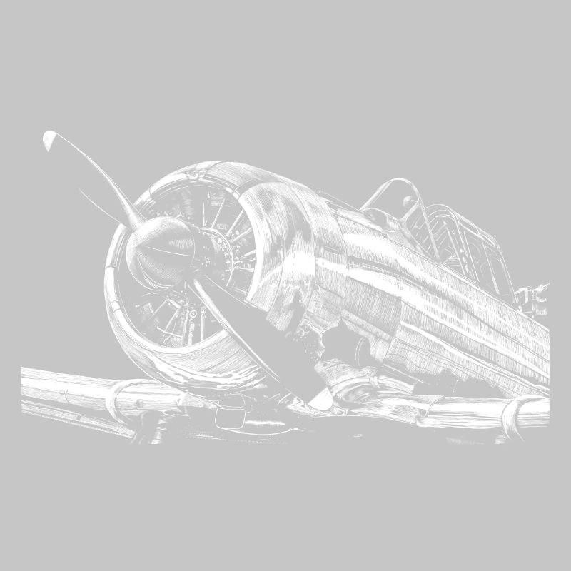 Flugzeug