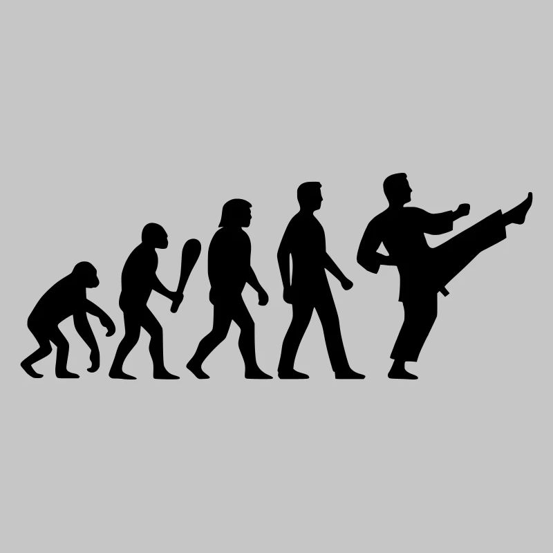 Karate Evolution