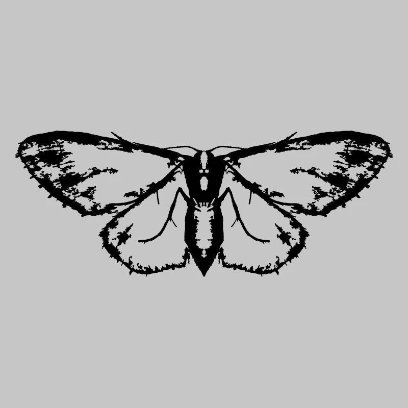 Papillon / Papillon / Papillon