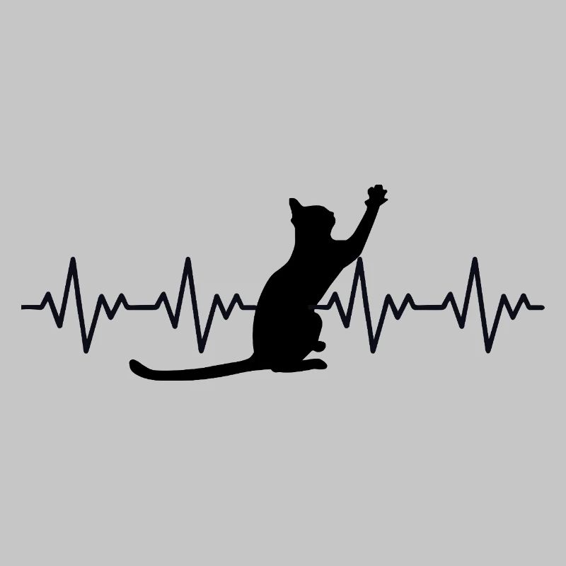 Katze EKG Herzfrequenz Herzschlag