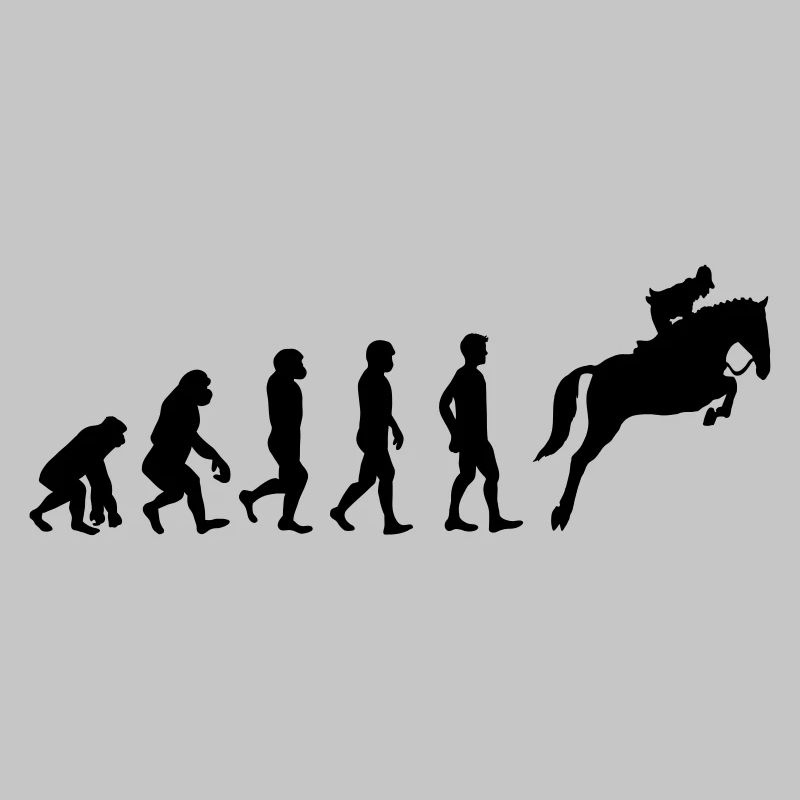 Reiter Evolution