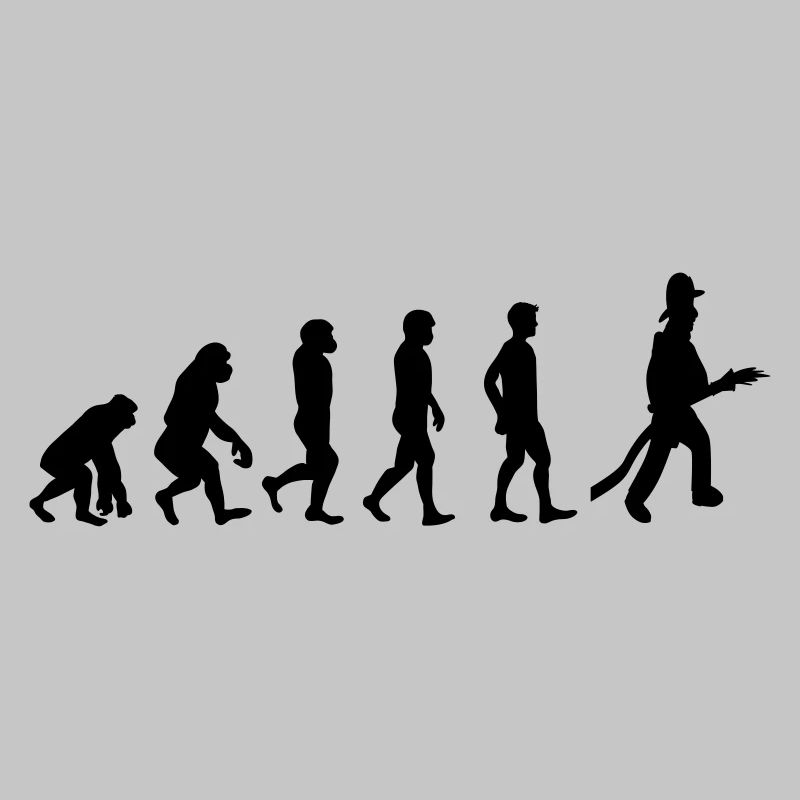 Fire evolution