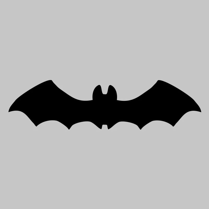 Bat in flight