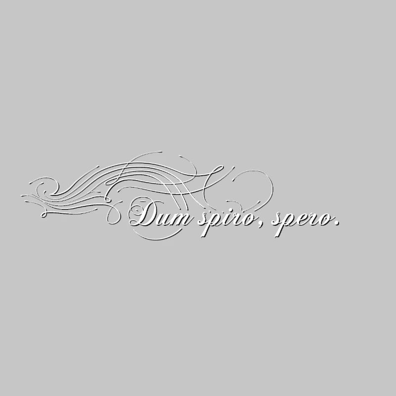 Dum spiro spero - As long as I I hope