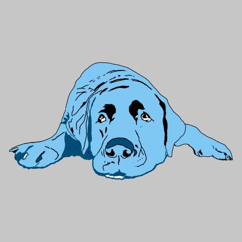 Labrador