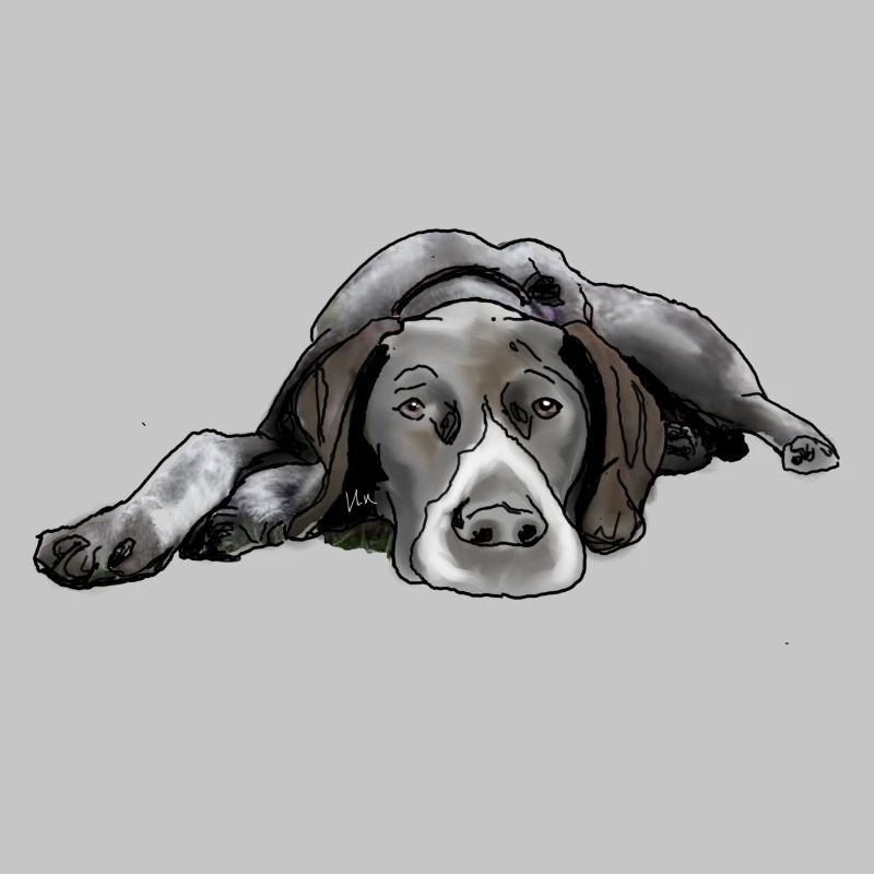Pointer German Shorthair