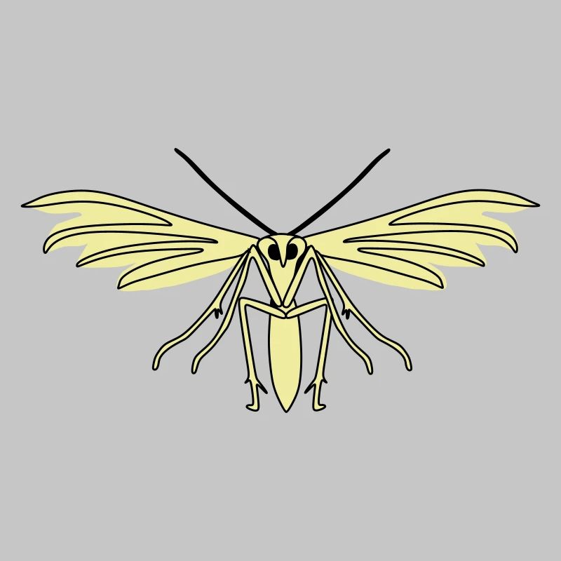 Feather moth