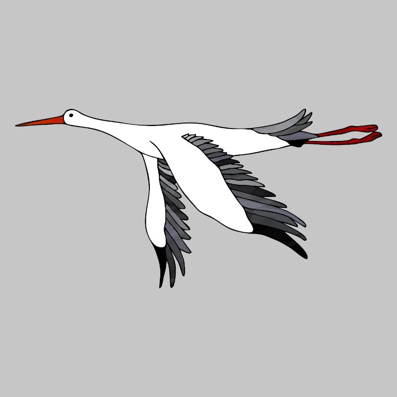 Stork bird