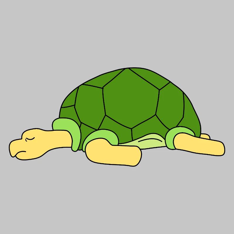 Cute Lazy Turtle Sleeping Funny Reptile Pet Owner