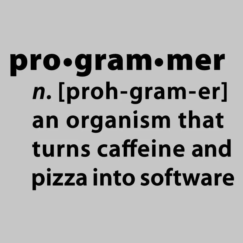 Programmer Wörterbuchdefinition