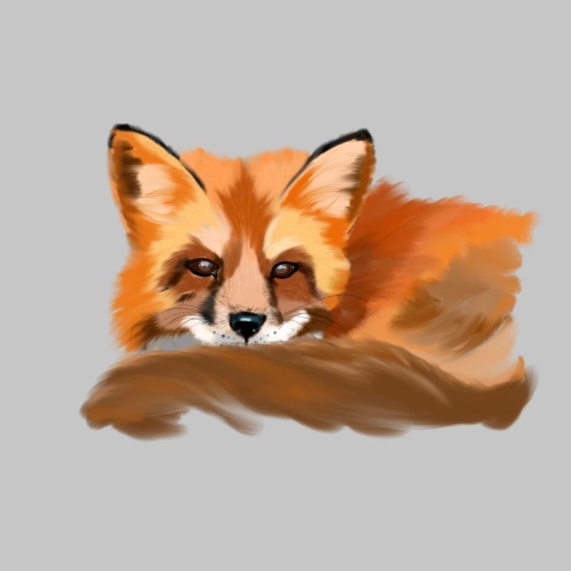 Fuchs
