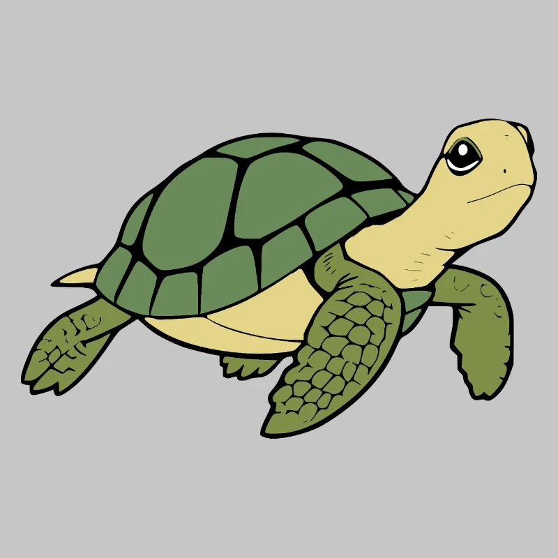 Turtle Turtles