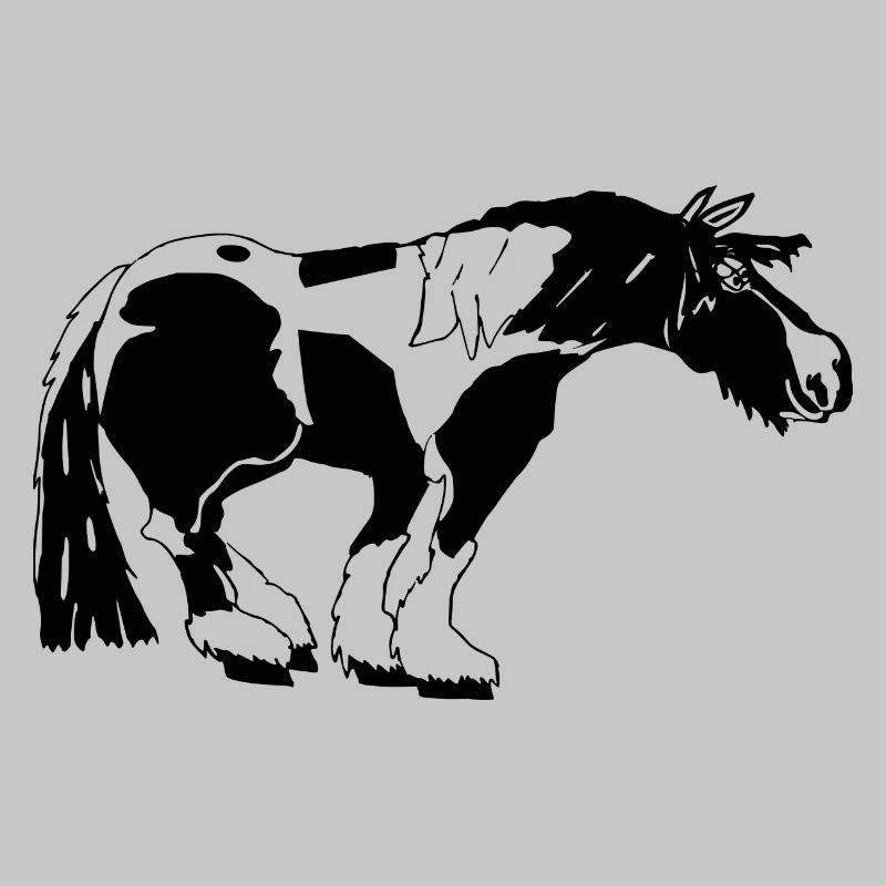 witziger Tinker , Tinker Schecke, Tinker reiten