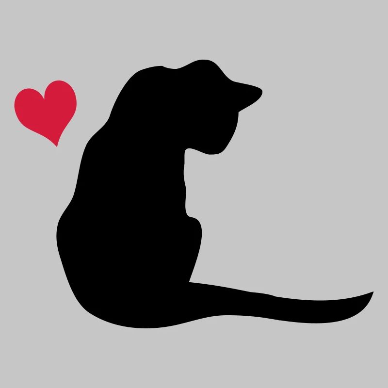 Katze