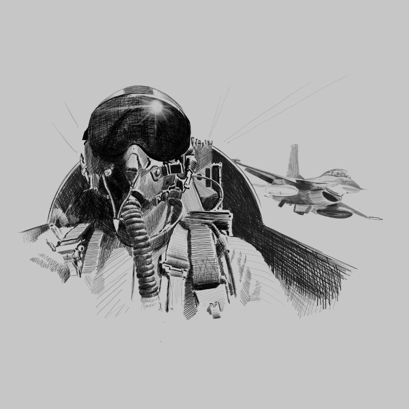 Fighter pilot