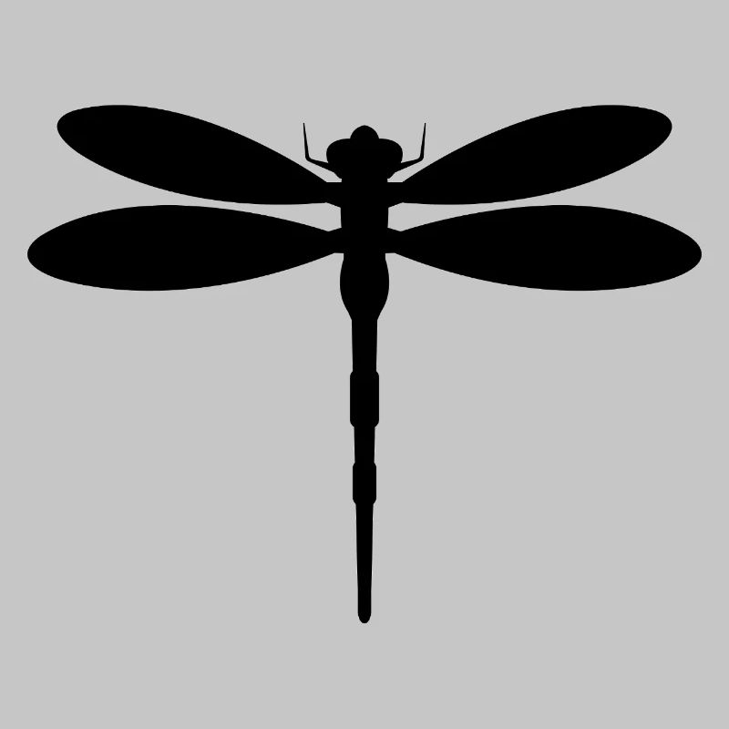 Libellule