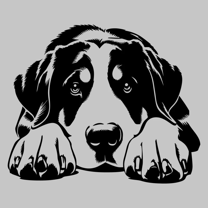 Großer Schweizer Sennenhund