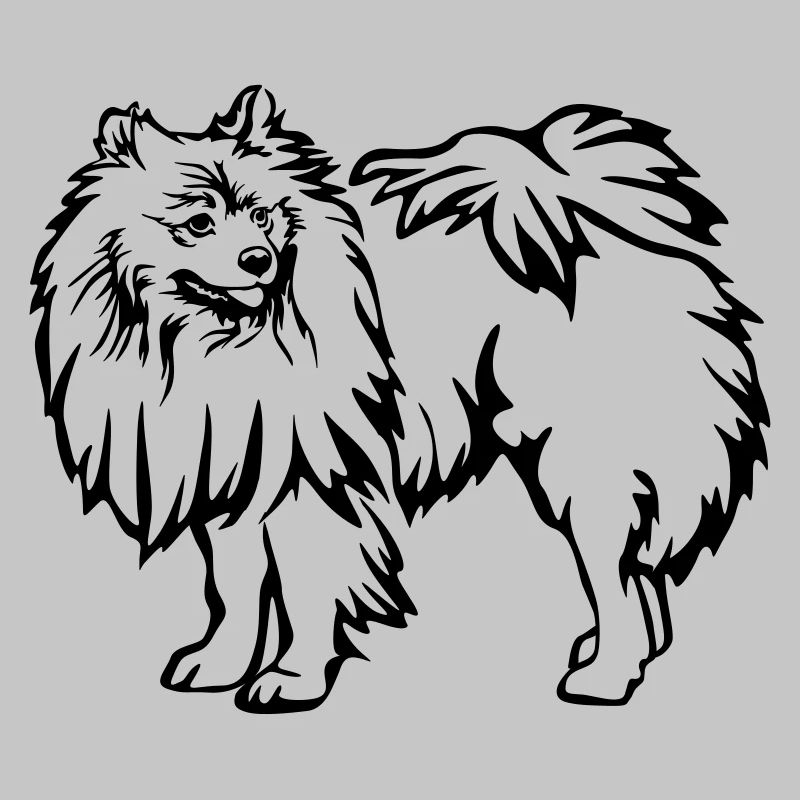 Spitz