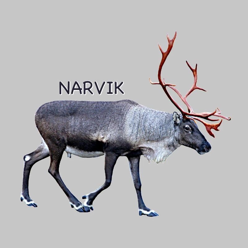 NARVIK