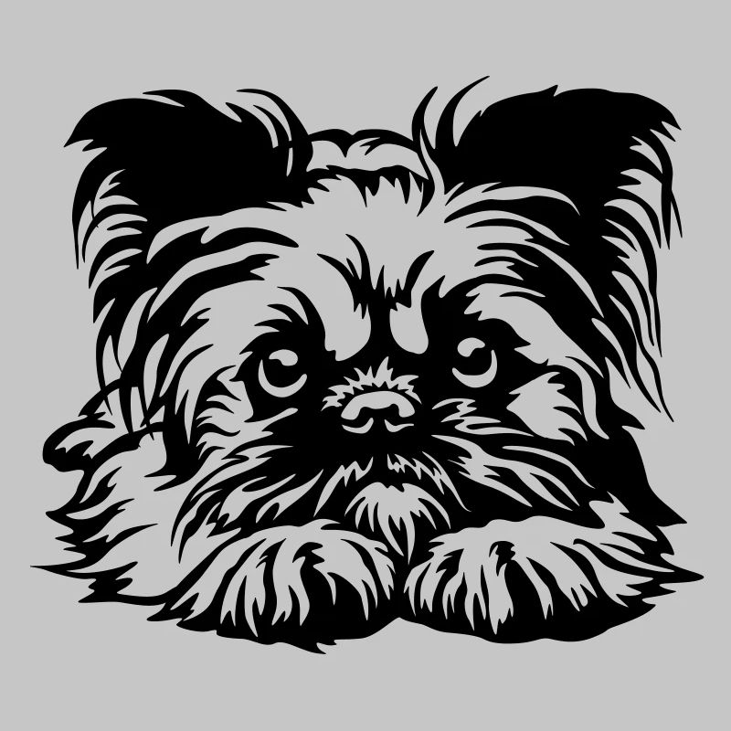 Brussels Griffon Head