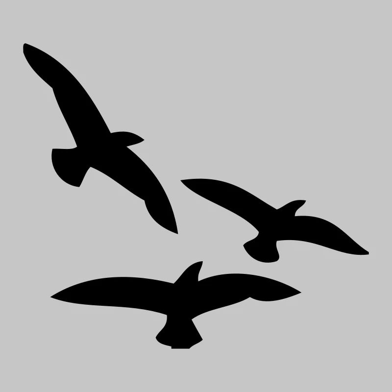 Oiseaux