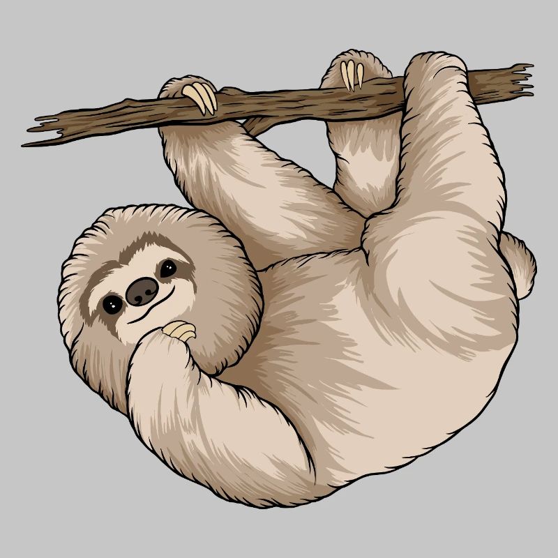 Charming Sloth Hugging Branch 