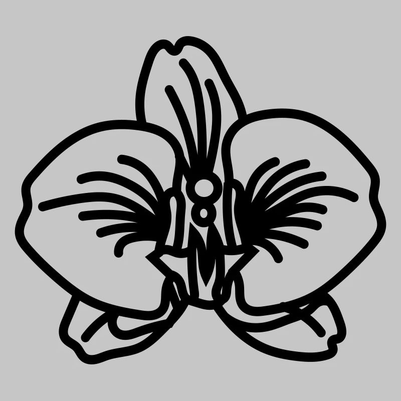 Orchidee