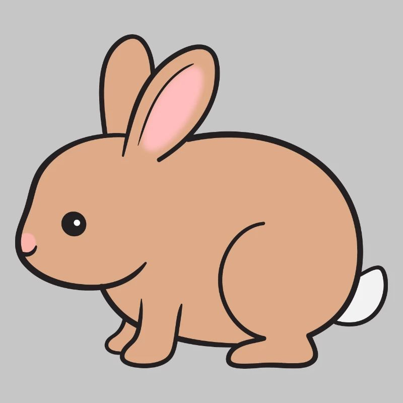 Rabbit Rabbit