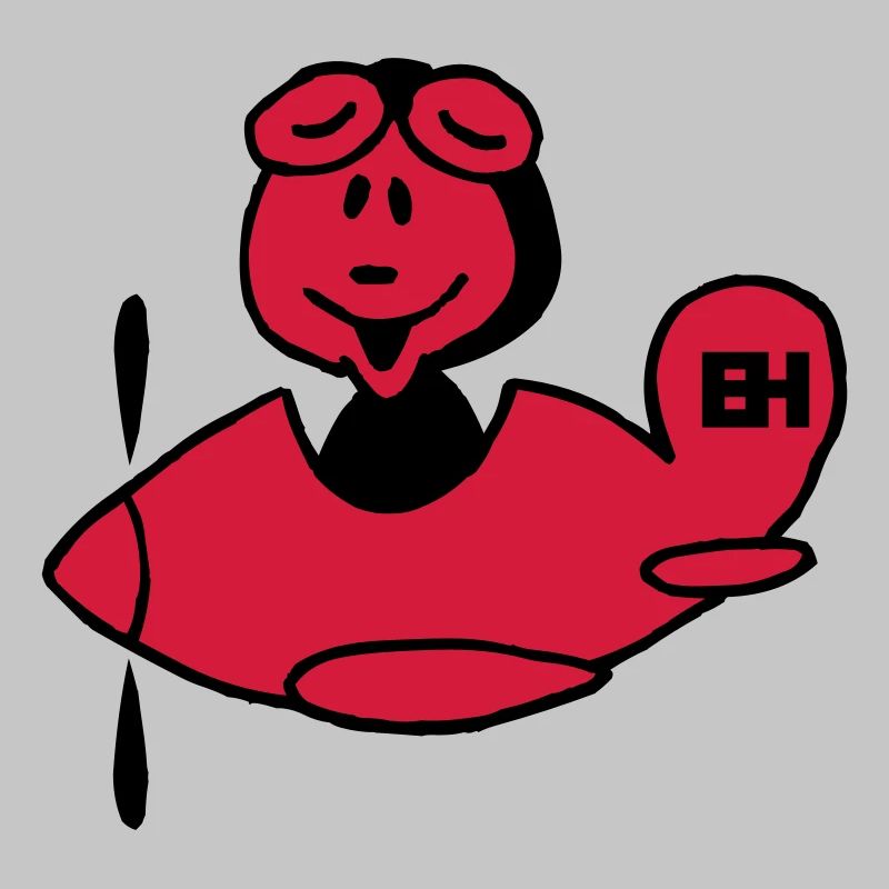 Flugzeug