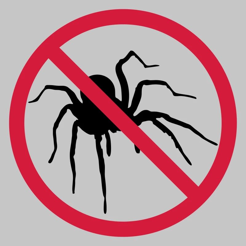 aucune araignée interdit bouclier conception araignée cl